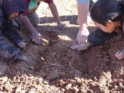 Activity 1: Soil Texturing! Introduction: Soil scientists, farmers, gardeners, and students study soil texture and other soil properties every day!