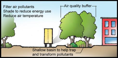 Air Quality: Reducing Airborne Pollution Pollutants are primarily trapped by the leaves of trees The tree