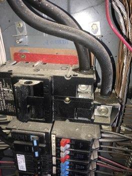 White neutral wires connected to circuit breakers should be
