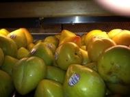 Raleys is carrying the Chilean specialty Lemon Plum.