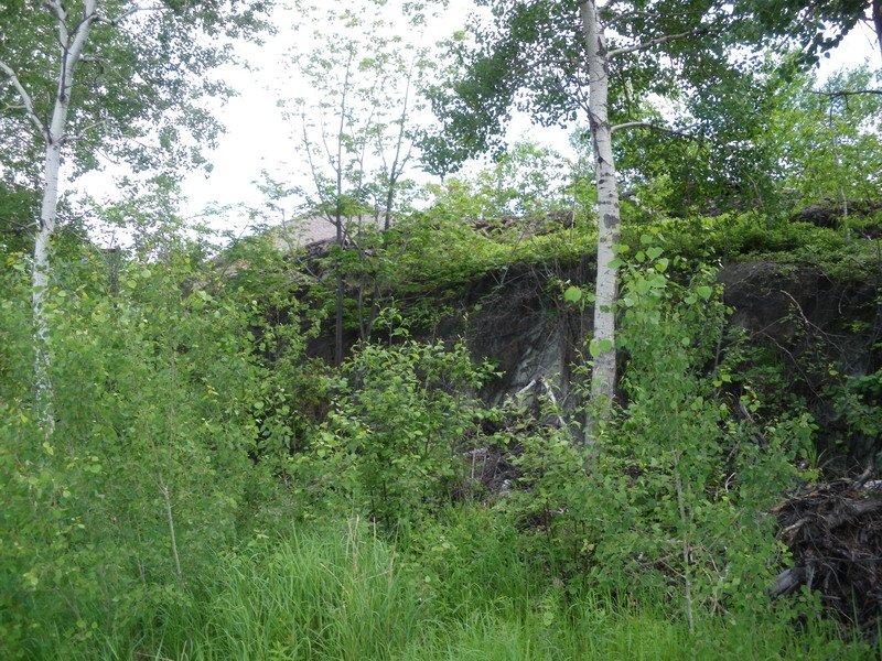 PHOTO 5 CAM STREET, SUDBURY VIEW OF ROCK OUTCROP AND TYPICAL