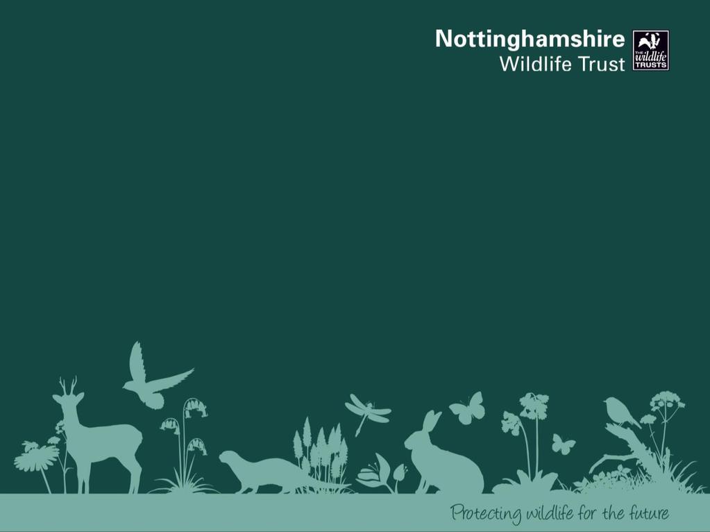 The Biodiversity Services SLA Between RBC and the Nottinghamshire Wildlife
