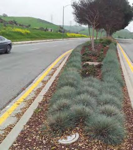 Native Landscape Design, Botanical Consultating City of San Jose $15,000 The City of San Jose hired ECI to