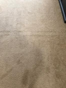 Floor Carpet Wrinkled, recommend restretching. 4.