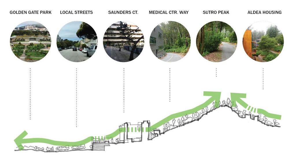 CONNECTION WITH NATURE Park to Peak Improve access to Mount Sutro Open Space Reserve with new Sunset Trail