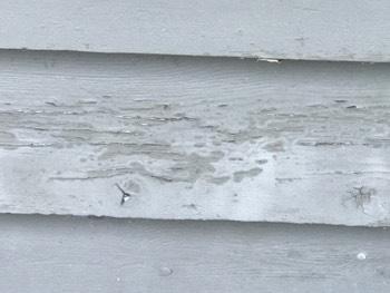 siding and the soil below.