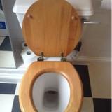 Bathroom (continued) Item Toilet Description White ceramic toilet with a wooden seat and