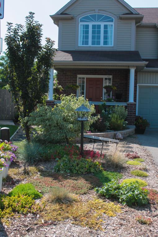 Water-Wise Landscaping Principles Improve the soil, and/or plant accordingly.