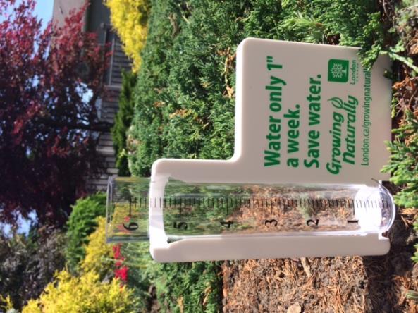 Proper Watering, Reduces Watering Use a rain gauge Water slowly, deeply, and less often to promote root growth