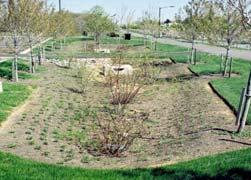 from a combined sewer system into a garden soakaway the