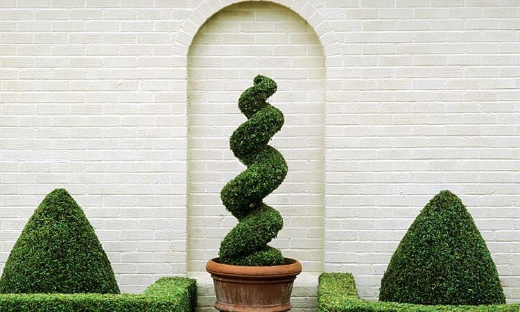 Topiary House can transform a venue creating a glamourous, sophisticated and elegant ambiance to your event.