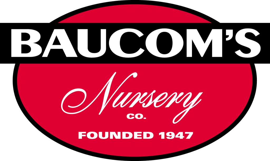 "Cultivating Excellence for over 70 Years" Email Orders Dawn Redman, Sales - dredman@baucomsnursery.com Scott Jordan, Sr., Sales - sjordansr@baucomsnursery.
