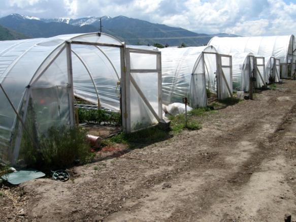 Overview Intro to high tunnel greenhouses
