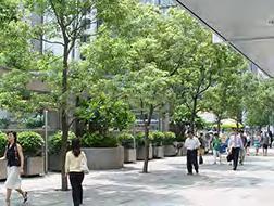 CENTRAL CITYSCAPE STREETSCAPE ENHANCEMENT PROJECTS, HONG KONG Client: Hongkong Land Preparation of Strategic Streetscape Enhancement Masterplan for Central District; the implementation of Pilot