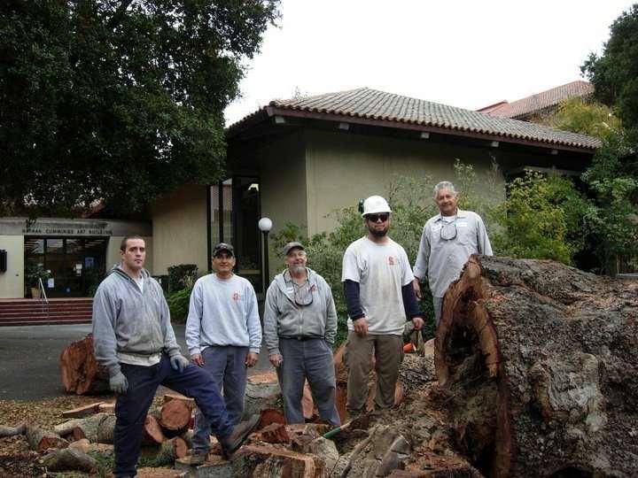 I am also a Municipal & Utility Specialist, CTW and a Board Member of the PNWISA I have pruned,