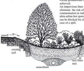 Rain Gardens Rain Gardens Defined A rain garden is a area landscaped