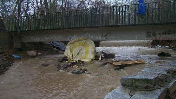 The Effects of Stormwater Runoff in the District of Columbia: Over 34 miles of District rivers and streams do not support swimming or aquatic life use.