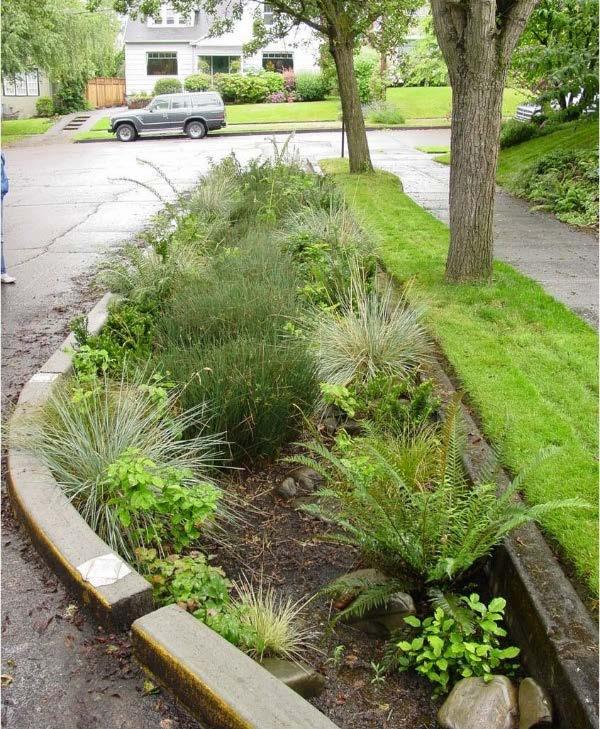 Stormwater Flow On Street Swales are grassy or vegetated channels that safely hold and direct
