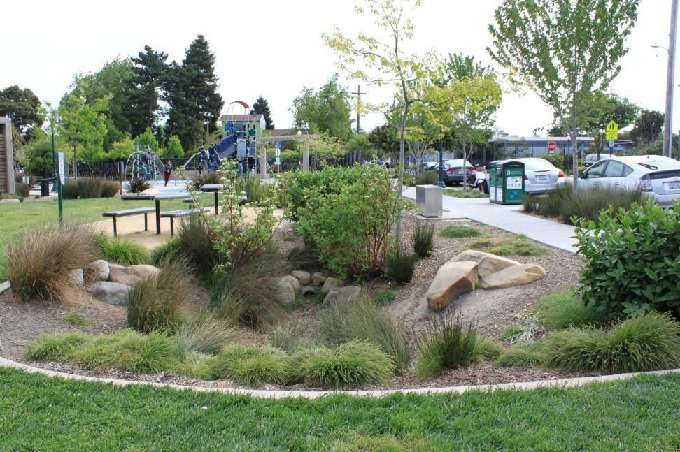 area into rain garden with educational signage.