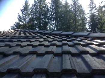 1. Roof Condition Roof Tile roof surface, average life span is 50+ years.
