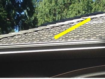 roofer should be contacted if a more detailed report is desired.