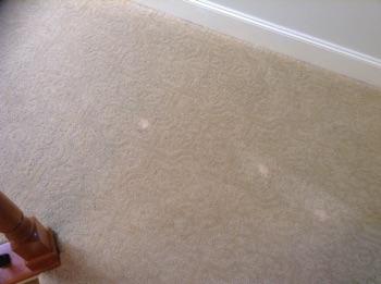 Carpet floor covering is in good condition.