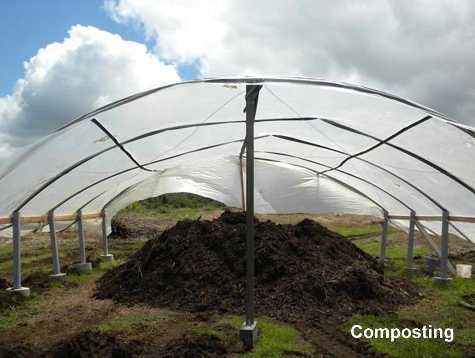 Compost is the very heart of this farm. Compost is constructed using our on-farm available organic matter.