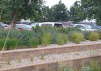 Parking lots shall be buffered from view from public right of way with practical landscaping.