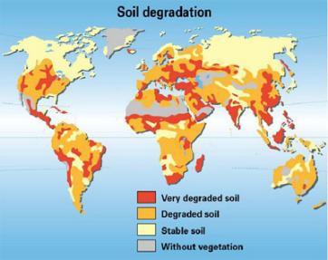Soil degradation occurs as a result of both natural and human-induced processes that reduce its potential productivity.