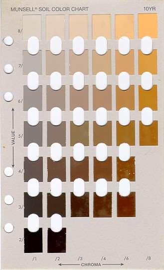 Describing Soil Color The Munsell color book is used to document color by means of a standard notation.