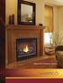 Direct Vent Fireplace Systems