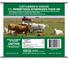 CATTLEMEN S CHOICE 1% PERMETHRIN SYNERGIZED POUR-ON