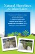 Natural Shorelines. for Inland Lakes. A Landowner s Guide to using. to STABLIZE SHORELINES, Michigan s inland lakeshore.