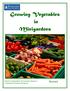 Growing Vegetables in Minigardens