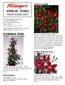 ANNUAL VINES PRICE GUIDE 2014 FLOWERING VINES CARDINAL CLIMBER. ASARINA (Twining Snapdragon) CYPRESS VINE (Star Glory) BOUGAINVILLEA