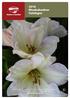 2016 Rhododendron Catalogue