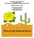 Roses in the Sonoran Desert