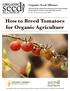 How to Breed Tomatoes for Organic Agriculture