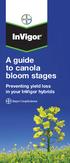 A guide to canola bloom stages