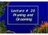 Lecture # 20 Pruning and Grooming