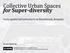 for Super-diversity Socio-spatial Infrastructures in Biestebroek, Brussels Dr. Arch. Burak Pak