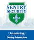 Introducing Sentry Interactive