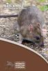 RATS & MICE. Prevention & Control