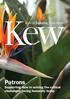 Patrons. Supporting Kew in solving the critical challenges facing humanity today