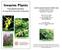 Invasive Plants. Frequently Asked Questions for Long Island s Horticulture Professionals