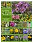 N ative. Nursery 2013 Informational Guide & Catalog. Plant. Otsego Conservation District