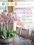 SEASONAL CHANGES to Expect With Your Orchid