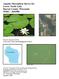 Aquatic Macrophyte Survey for Lower Turtle Lake Barron County, Wisconsin WBIC: