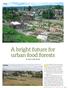 A bright future for urban food forests