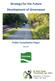 Strategy for the Future Development of Greenways. Public Consultation Paper